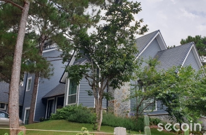 Ngói phẳng kiểu Pháp